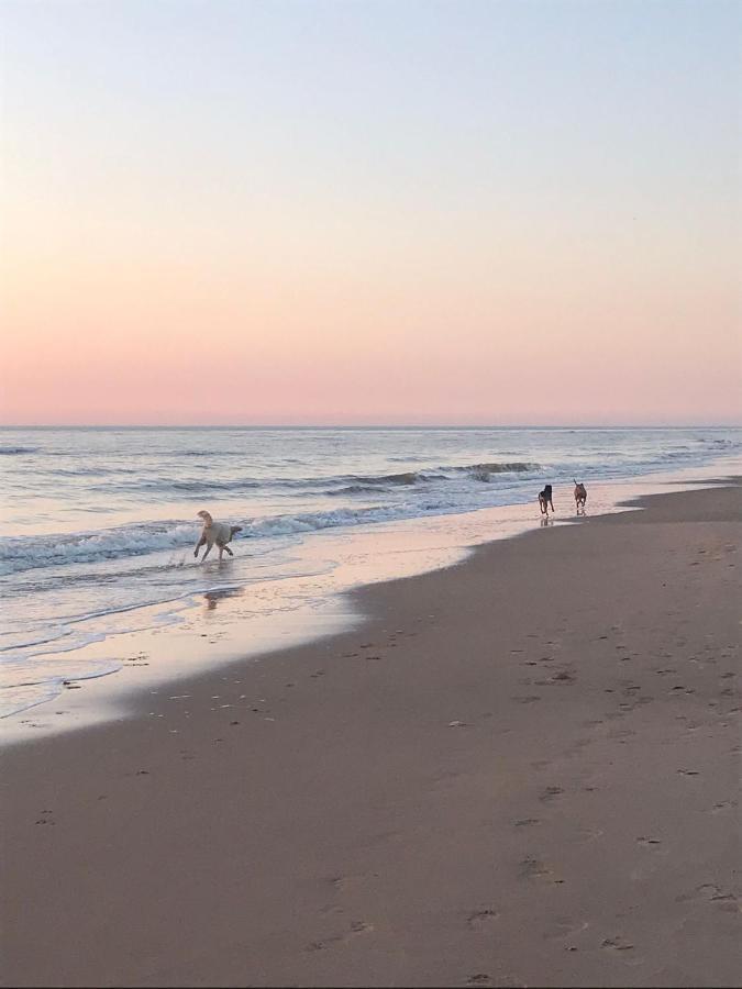 מלון Katwijk aan Zee Hippocampus Aan Zee מראה חיצוני תמונה