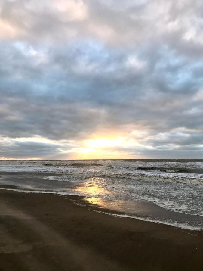 מלון Katwijk aan Zee Hippocampus Aan Zee מראה חיצוני תמונה