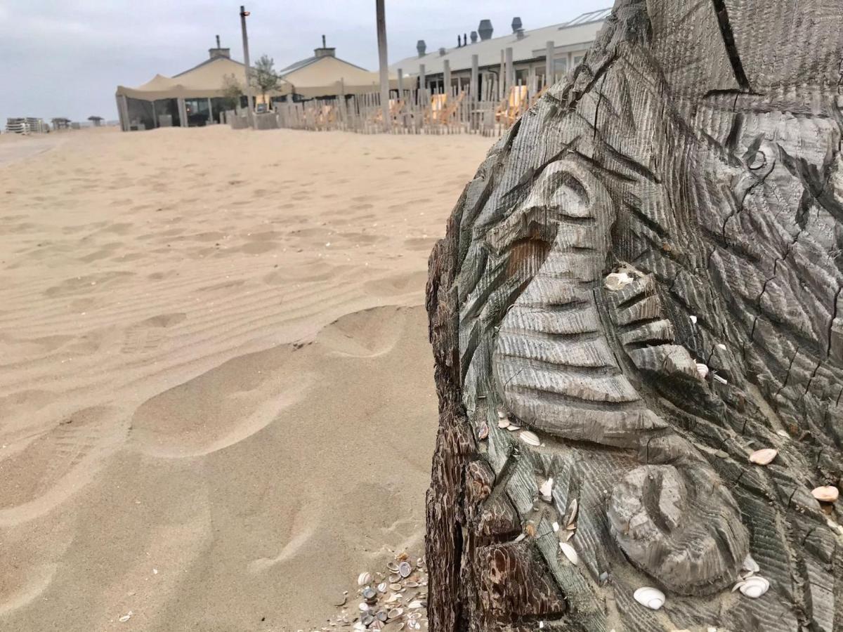 מלון Katwijk aan Zee Hippocampus Aan Zee מראה חיצוני תמונה